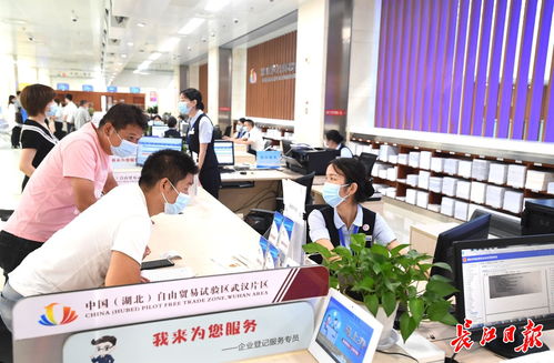 武漢市政府推動新能源技術(shù)發(fā)展，構(gòu)建綠色低碳未來