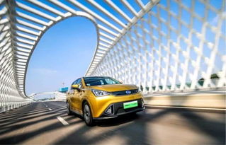 補(bǔ)貼退潮后，新能源產(chǎn)業(yè)的“成年禮”與未來之路